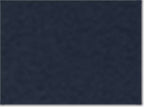 Champion T425, Unisex Classic T-shirt, Navy