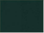 Champion CO200, Unisex Packable Anorak Jacket, Dark Green