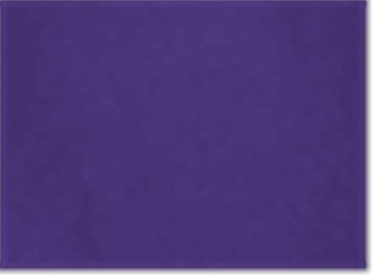 Champion CO200, Unisex Packable Anorak Jacket, Purple