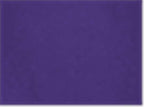 Champion CO200, Unisex Packable Anorak Jacket, Purple