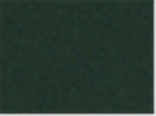 Champion S700, Unisex Powerblend Hooded Sweatshirt, Dark Green