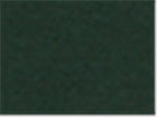 Champion S700, Unisex Powerblend Hooded Sweatshirt, Dark Green