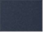 Champion 8187, Unisex Cotton Gym Shorts, Navy