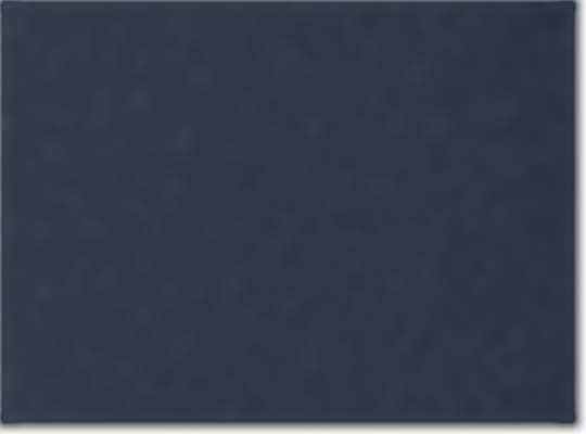 Champion 8187, Unisex Cotton Gym Shorts, Navy