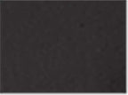 Champion S149, Unisex Reverse Weave Crewneck Sweatshirt, Black