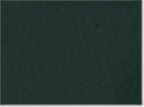Champion S149, Unisex Reverse Weave Crewneck Sweatshirt, Dark Green