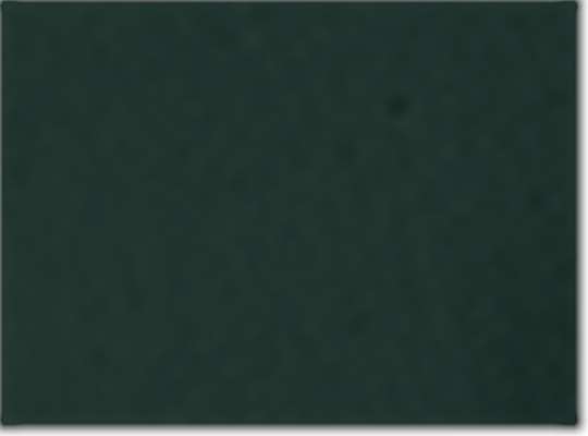 Champion S149, Unisex Reverse Weave Crewneck Sweatshirt, Dark Green
