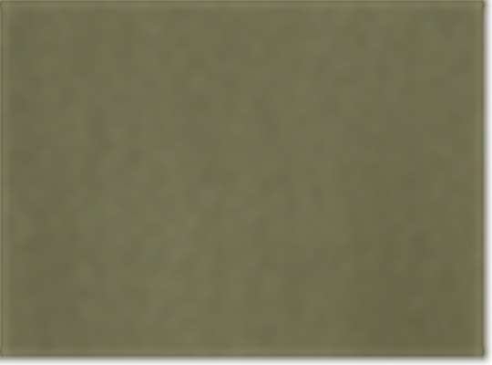 Champion S101, Unisex Reverse Weave Hooded Sweatshirt, Fresh Olive