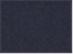 Champion S149, Unisex Reverse Weave Crewneck Sweatshirt, Navy