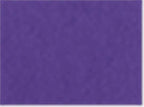 Champion S101, Unisex Reverse Weave Hooded Sweatshirt, Purple