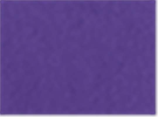 Champion S101, Unisex Reverse Weave Hooded Sweatshirt, Purple