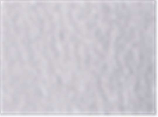 Champion S149, Unisex Reverse Weave Crewneck Sweatshirt, Silver Grey