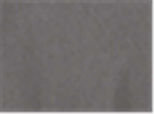 Champion S101, Unisex Reverse Weave Hooded Sweatshirt, Stone Grey