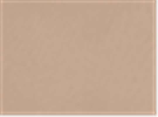 Next Level 9307, Fleece - Premium - Hood, Tan