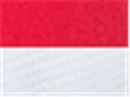 Flexfit 110M, 8128 110 Mesh-back Cap, Red/ White