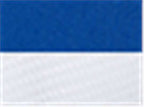 Flexfit 110M, 8128 110 Mesh-back Cap, Royal/ White