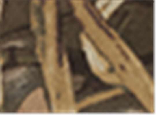 Realtree Max4