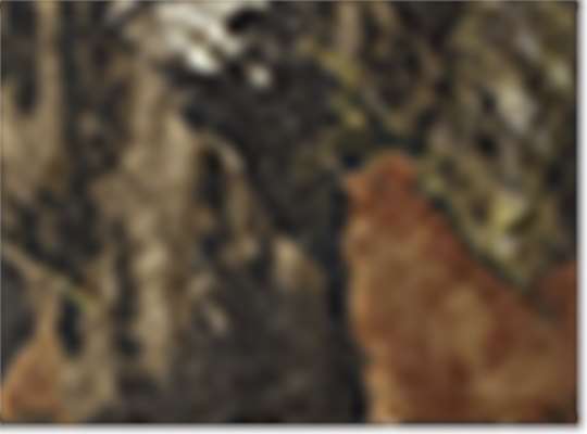 Mossy Oak BreakUp