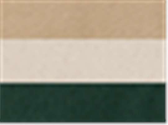 Forest/ Natural/ Khaki