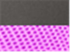 Richardson 112, Snapback Trucker Cap, Charcoal/ Neon Pink