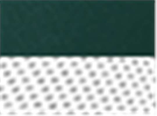 Richardson 112, Snapback Trucker Cap, Dark Green/ White