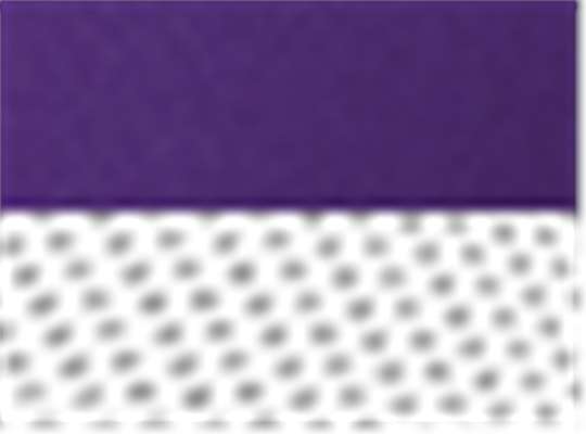 Richardson 112, Snapback Trucker Cap, Purple/ White