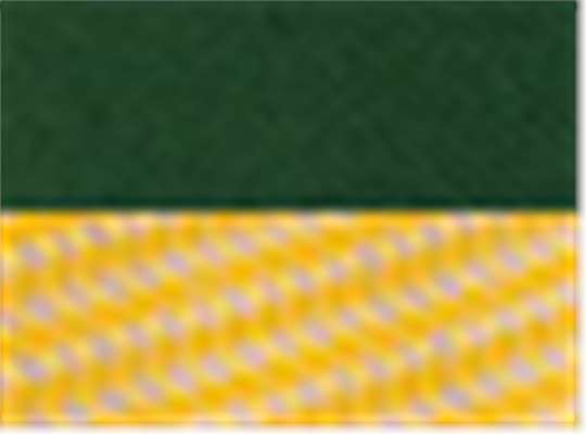Dark Green/ Gold