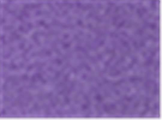 Heather Purple
