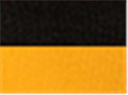 Black/ Gold