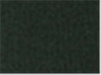Sportsman SP15, 3015 12" Pom-pom Cuffed Beanie, Forest