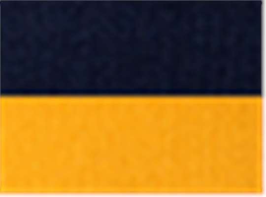 Navy/ Gold