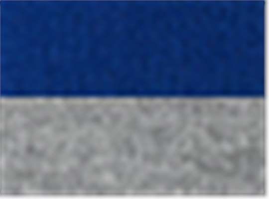 Royal/ Light Heather Grey