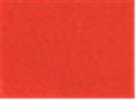 Blaze Orange