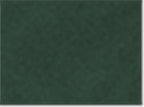 AllPro 48000, 12537 Men's Pro-lock Performance T-shirt, Forest Green