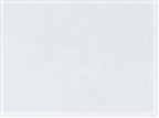 AllPro 41800Y, 12543 Youth Pro-lock Performance Polo, White