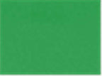 AllPro 48000Y, 12547 Youth Pro-lock Performance T-shirt, Kelly Green