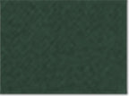 AllPro 62800, 12539 Men's Pique Polo, Forest Green