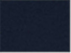 AllPro 62800, 12539 Men's Pique Polo, Navy