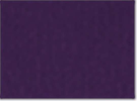 AllPro 62800L, 12549 Women's Pique Polo, Purple