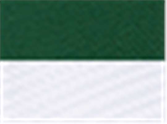 Dark Green/ White