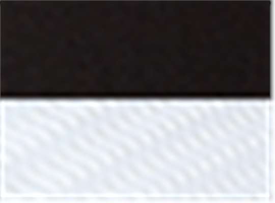 Black/ White