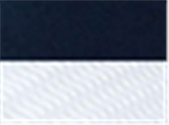 Navy/ White