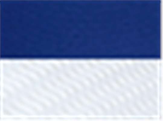 Royal/ White