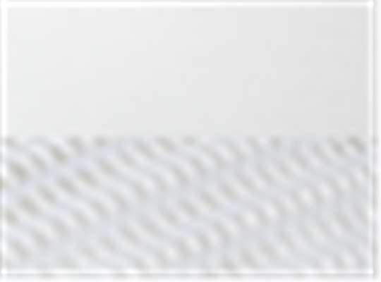 White/ White