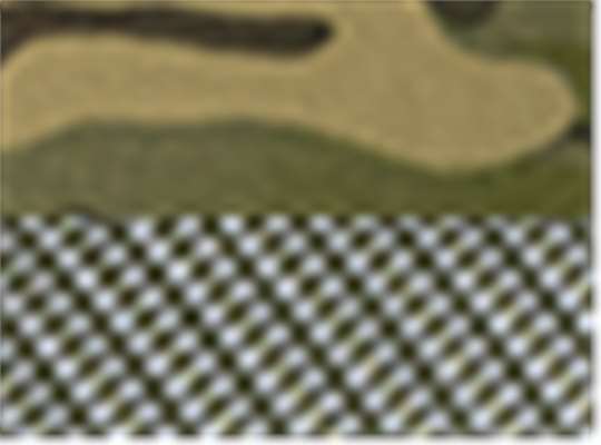 Multicam Tropic/ Green