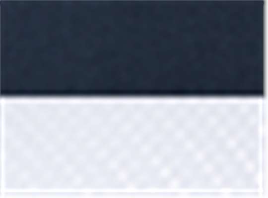 Navy/ White
