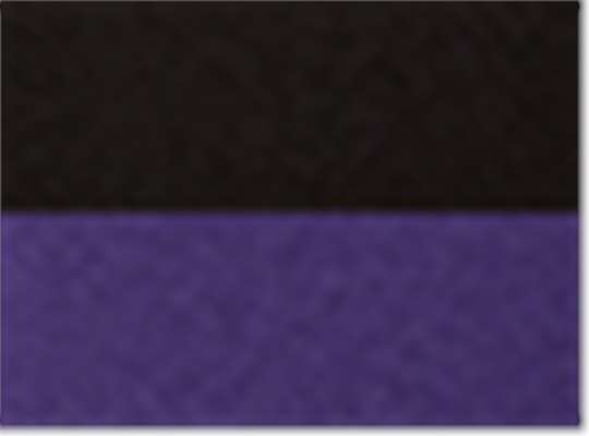 Black/ Purple