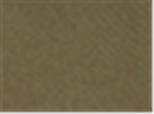 Loden