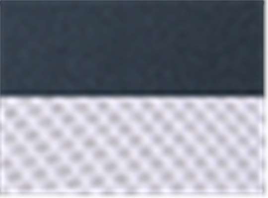 Navy/ White