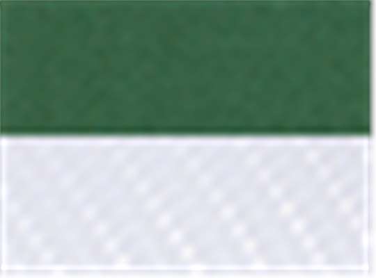 Evergreen/ White